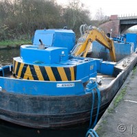 BWW pennywort 1004 1095